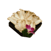 King Oyster Mushrooms (One Portion)