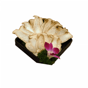一碟一味 0000 杏鲍菇
