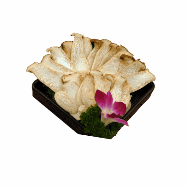 一碟一味 0000 杏鲍菇