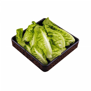 一碟一味 0003 麦丹生菜