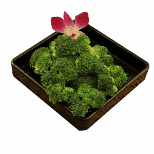 一碟一味 外卖火锅 0005 西兰花