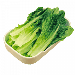 一碟一味 外卖火锅 0008 油麦菜