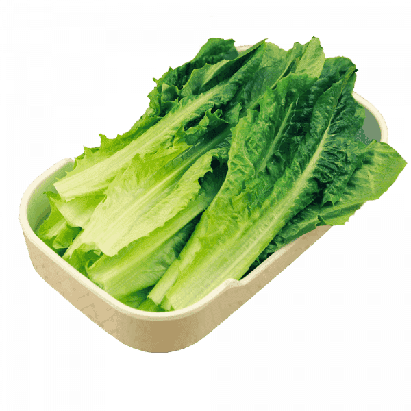 一碟一味 外卖火锅 0008 油麦菜