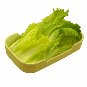 一碟一味 外卖火锅 0010 娃娃菜