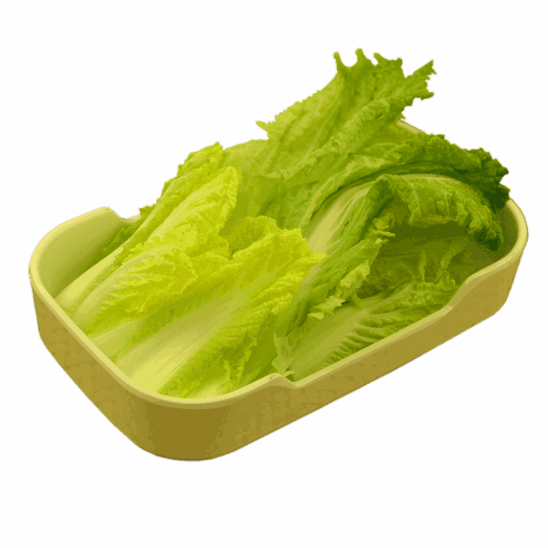 一碟一味 外卖火锅 0010 娃娃菜
