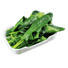 Spinach (One Portion)