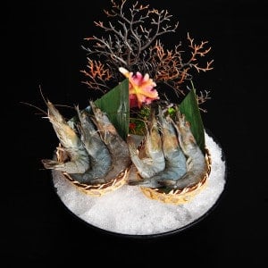 Seafood