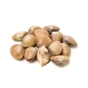 Asari Clams