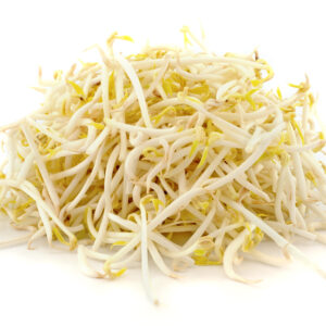 bean sprout