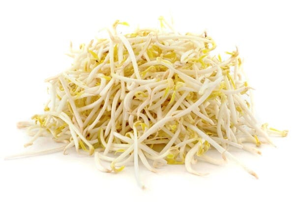 bean sprout