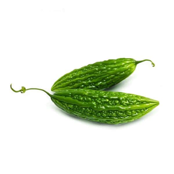 bitter gourd small