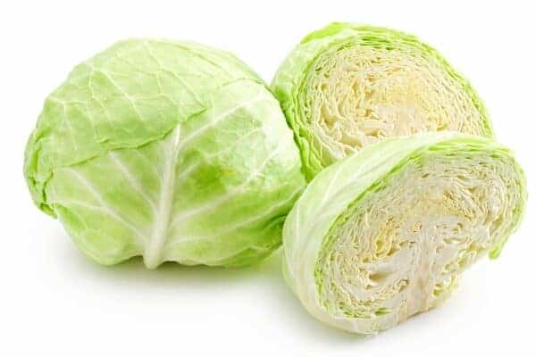 cabbage