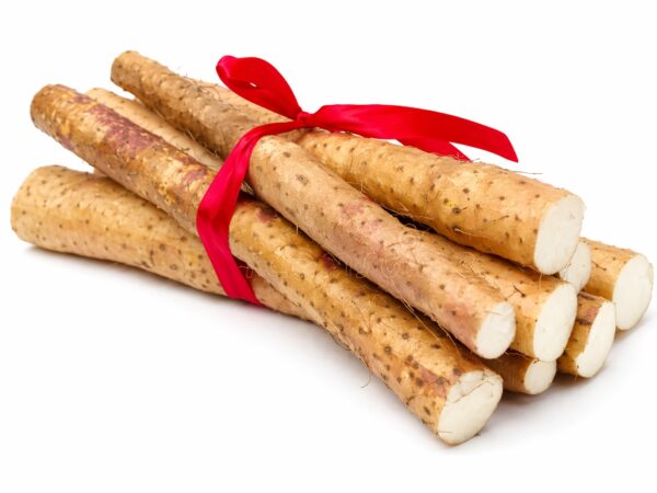 chinese yam