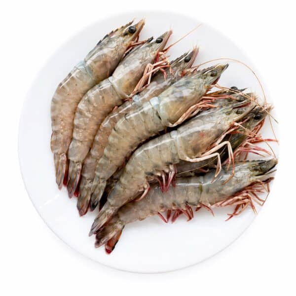 Flower prawn