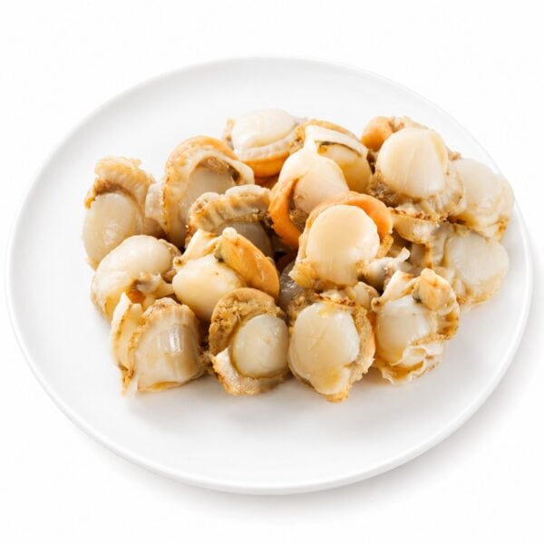 hotate scallop