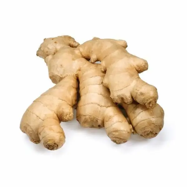 ginger
