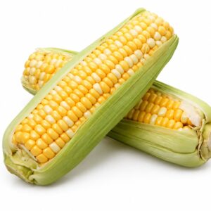 Sweet Corn