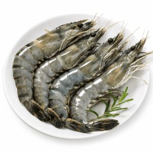 Tiger prawn